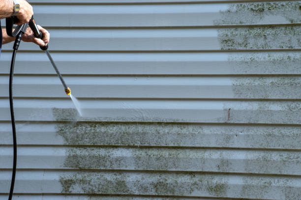 Best Custom Siding Design  in Long View, NC