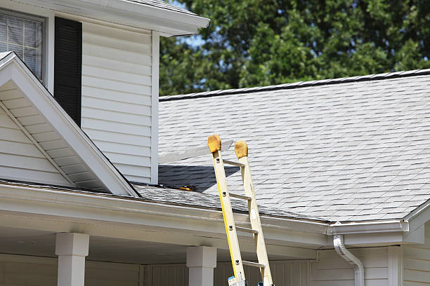 Best Insulated Siding Installation  in Long View, NC