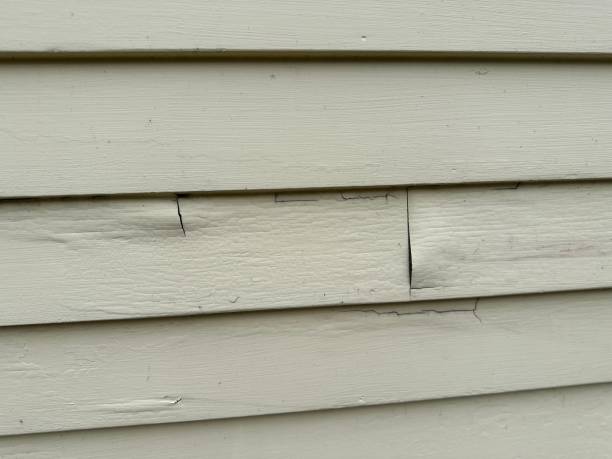 Best Brick Veneer Siding  in Long View, NC